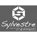 Cannes Sylvestre (représentant)